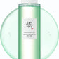 Beauty of Joseon Green Plum Refreshing Toner AHA + BHA 150 ml – Korean refreshing exfoliating toner